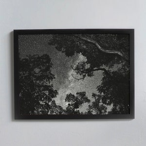 Astronomie Fotografie auf Recyclingpapier, Sternhimmel im Wald, Poster der Bäume mit Sternen im Nachthimmel, Milchstraße Wandbild Geschenk
