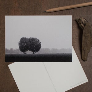 Cartolina di alberi, realizzata a mano con carta riciclata, stampa di alberi, arte di paesaggi nebbiosi, foto della vita degli alberi, stampa della natura, arte di foreste nebbiose