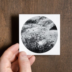 Adesivo di carta rotondo raffigurante uccelli che volano intorno a un albero al tramonto / Volo icario / arte fotografica naturalistica poetica e consapevole / Giorni notturni