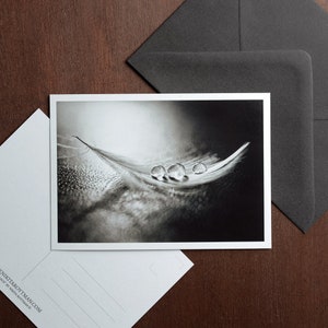 Fine Art-briefkaart, waterdruppels balanceren op een veer, spiritualiteitskaart, verjaardagskaart, rouw en rouw, mindfulness, zenfotografie