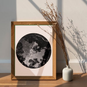 Stampa fotografica di stelle nella foresta su carta baritata in design rotondo, cielo notturno stellato nella natura, alberi della foresta oscura, regalo di astronomia, regalo di natura