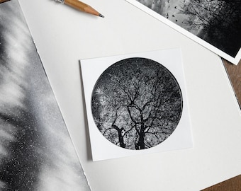 Round paper sticker of an oak tree at night with stars | Celestial Tree | poetic & mindful astrophotography | Nocturnal Mood Of Time