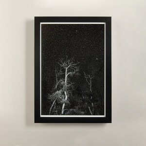 Notte nell'universo / stampa fotografica di foresta con cielo stellato su carta baritata / astrofotografia poetica e consapevole / Umore notturno del tempo