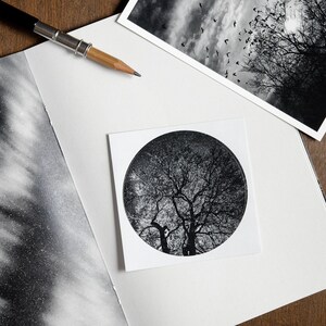 Adesivo di carta rotondo raffigurante una quercia di notte con stelle / Albero celeste / Astrofotografia poetica e consapevole / Umore notturno del tempo