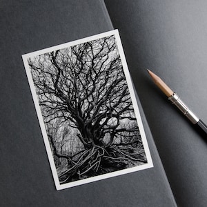 Carte postale Yggdrasil, carte de voeux, nature et spiritualité, carte d'anniversaire de personne âgée, carte d'arbre, cosmologie consciente, mythologie nordique, cadeau de vieillesse