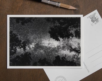 Postcard | The Flight Of Cygnus | space card set | bithday card | photo art | poetic & mindful astrophotography | Nocturnal Mood Of Time