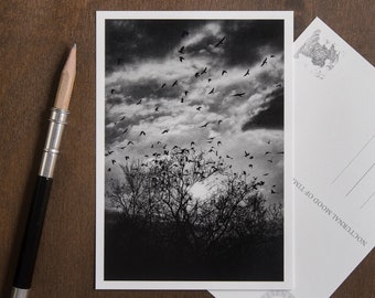 Postcard | Icarian Flight | greeting card set | birthday and grief | photo card | poetic & mindful astrophotography | Nocturnal Mood Of Time