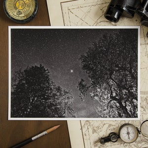 Verzauberter Magischer Wald Druck, Natur Fotografie auf Barytpapier, Dunkler Mystischer Wald, Sternhimmel Wandbild, Landschaft bei Nacht