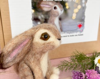Needle Felting Kit: DIY Rabbit, Adult Craft Gift
