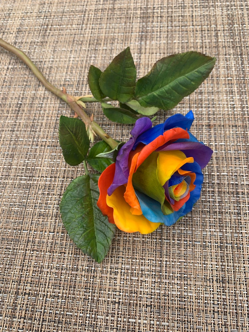 Rainbow rose Forever rose Unique gifts LGBT | Etsy