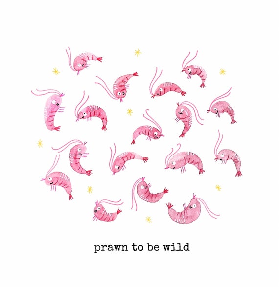 Prawn to be Wild Greetings Card - Birthday - Celebration - Animal Card - Humour - Funny -Eco Friendly