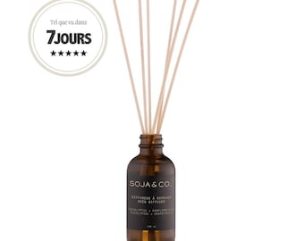 Reed Diffuser | Eucalyptus + Grapefruit