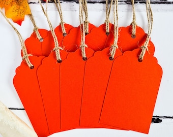 Pumpkin Orange Gift Tags x10. Set of Orange Luggage Tags for Craft, Gifts or Thanksgiving Decor