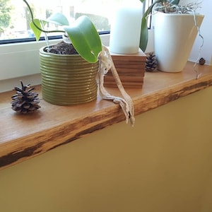 Könnte beinhalten: Ein Holzfensterbrett mit einer natürlichen Kante, dekoriert mit Topfpflanzen, Tannenzapfen und einem getrockneten Stück Schnur. Das Fensterbrett ist an einer hellgelben Wand montiert.