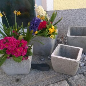 Pode incluir: Quatro vasos de concreto com uma variedade de flores coloridas. Os vasos são quadrados e retangulares e têm uma superfície áspera e texturizada. As flores incluem flores rosa, amarelas, brancas e roxas.