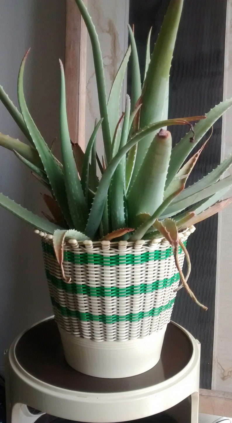 Vintage Green /& Cream Plastic Woven Plant Pot Holder Storage Basket Waste Recycling Basket by Smit and Co