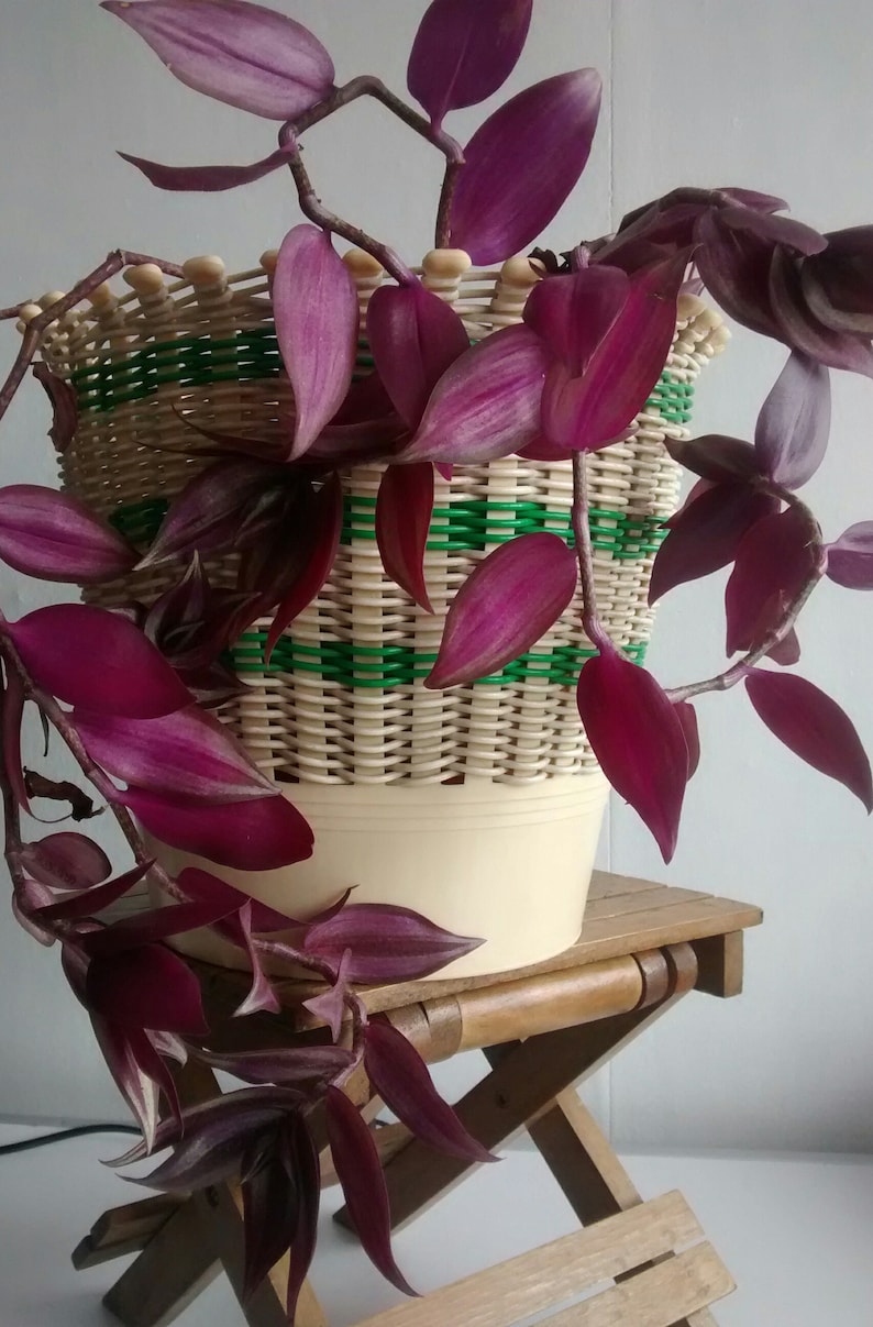 Vintage Green /& Cream Plastic Woven Plant Pot Holder Storage Basket Waste Recycling Basket by Smit and Co