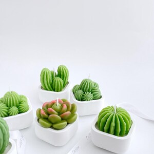 Peut inclure: Collection de bougies vertes en forme de cactus et de succulentes dans de petits pots carrés blancs. Une bougie a un centre rose. Un ruban blanc avec du texte est au premier plan. Les bougies sont sur fond blanc.