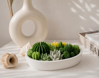Handmade Succulent Cactus Soy Candle | White Plaster Bowl, Multi Wick Centerpiece