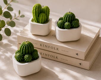 Cactus Succulent Soy Beeswax Candle, Himalayan Bamboo Scented Pot Candle