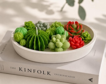 Succulent Garden Candle | Plaster Bowl, Himalayan Bamboo Scented, Soy Wax