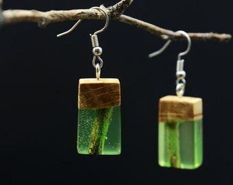 Drop Tropical Earrings,  Natural Jewelry, Green Dangle Earrings Nature Inside, Exotic wood earrings