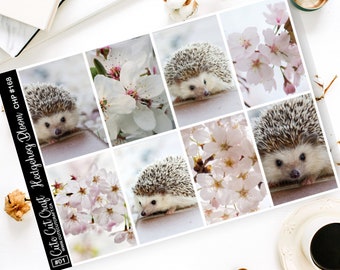 Full Box Stickers || Hedgehog Bloom || Planner Stickers 3 Sizes