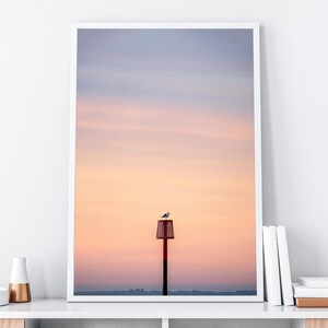 Sunrise Seagull | A4 Bridlington Print, Bridlington, Ocean, Wildlife Prints, Beach, Beach Prints, Wall Art, Prints, Seascape, Seagull, Bird