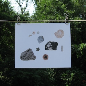 8x10 inch Fossils art print, Fossils wall art, Fossil illustration