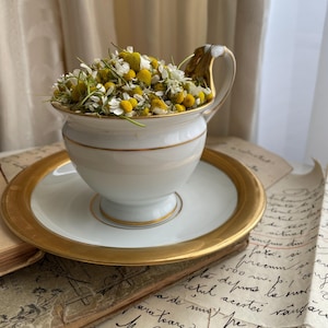 German tea cup & saucer porcelain Weimar teacup