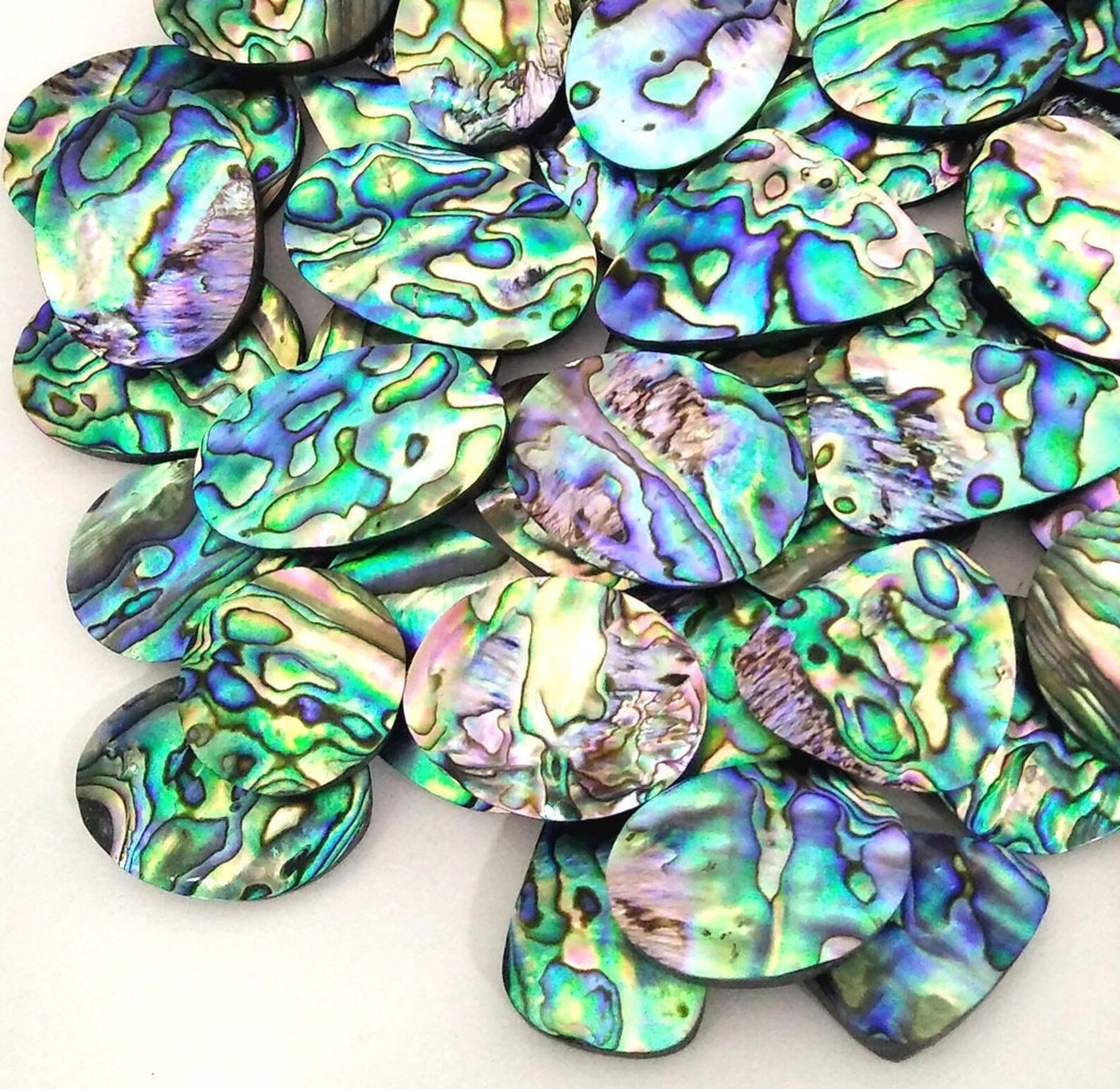 Natural Abalone Shell Cabochon Wholesale Abalone Shell Etsy