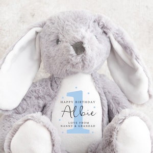 First Birthday Personalised Soft Toy Bunny Teddy Gift Present