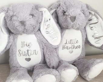 Sisters/Brothers Personalised Soft Toy Bunny Teddy Gift Little & Big Sister New Baby Present