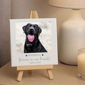 May include: A white framed photo of a black Labrador Retriever with its tongue out, displayed on a small wooden easel. The photo includes the name "Maxwell", paw prints, and the text "Forever in our hearts 2016-2025". A lit candle and a white lamp are in the background.