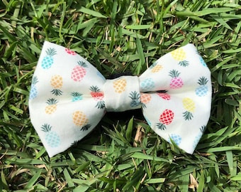 Pina Colada Pet Bow Tie