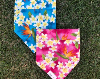 Pink/Blue Plumeria Paradise Pet Bandana