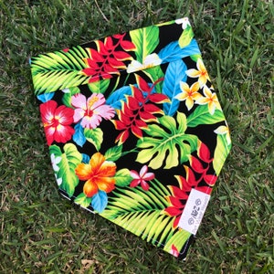 Nights in Paradise Bandana