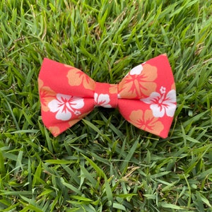 A&Z Orange Hibiscus Pet Bow Tie