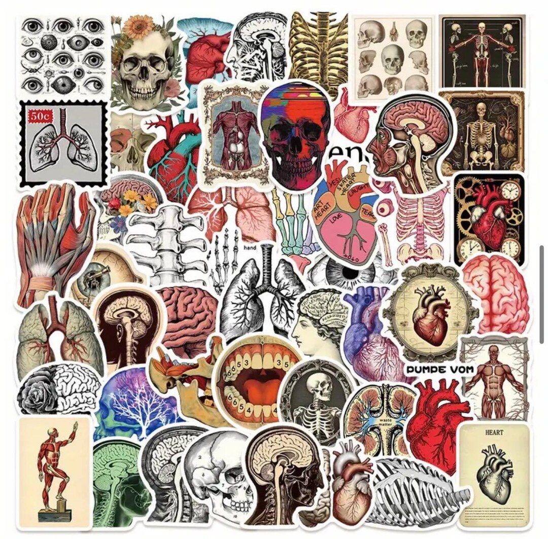 Sticker Humen Mixed Retro Anatomy Stickers - Human Body Organ Designs, Colorful ...