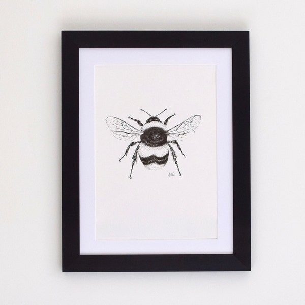 Bumblebee art print - A4 print of bee pen and ink drawing