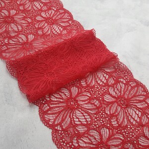 May include: Red lace trim with a floral pattern. The lace is delicate and intricate, with a soft, flowing texture.