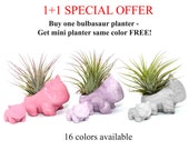 1 1 Bulbasaur Air plant holder, Pokemon Planter, Concrete Succulent planter, Pokemon plant pot