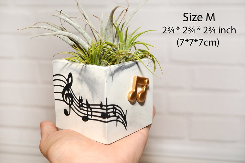 Air plant holder Concrete geometric succulent pots FREE SHIPPING with tracking Wall decor Music hanging planter