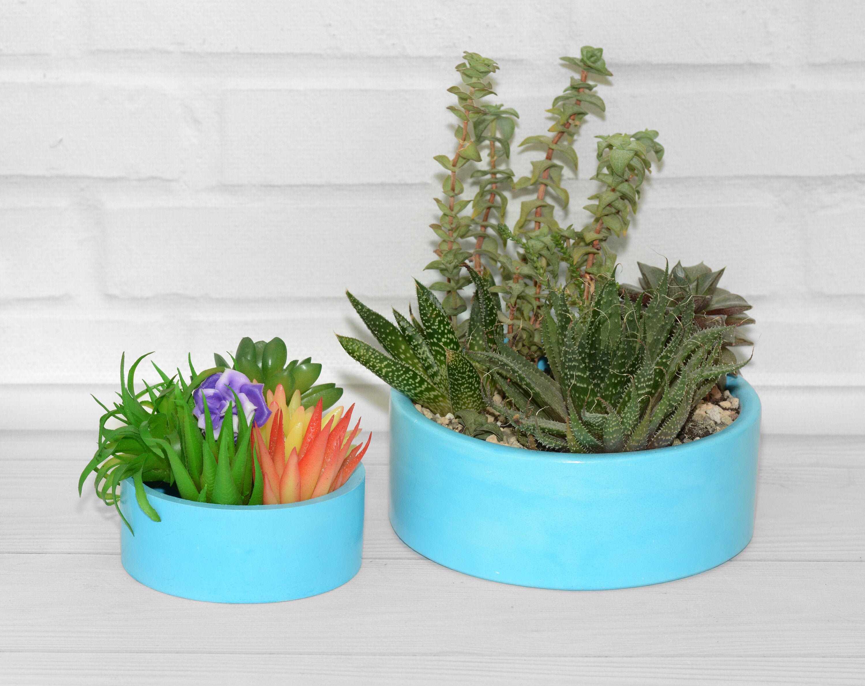 Shallow Succulent Planters for arrangements Etsy