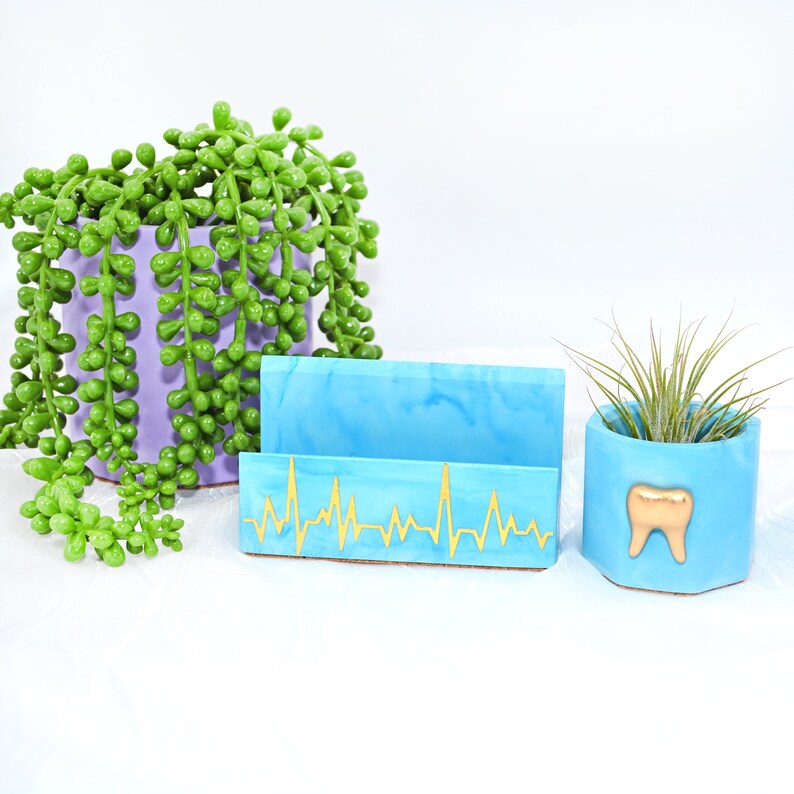 Dentist gift Air plant holder Medical gifts Dental Student Etsy