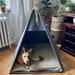 see more listings in the pets teepee section