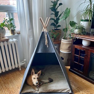 May include: A gray and black teepee-style dog bed with a tan cushion inside. A small brown and white dog is lying inside the bed, chewing on a toy.