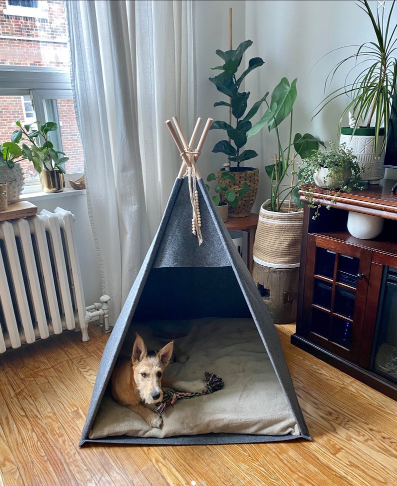 May include: A gray and black teepee-style dog bed with a tan cushion inside. A small brown and white dog is lying inside the bed, chewing on a toy.