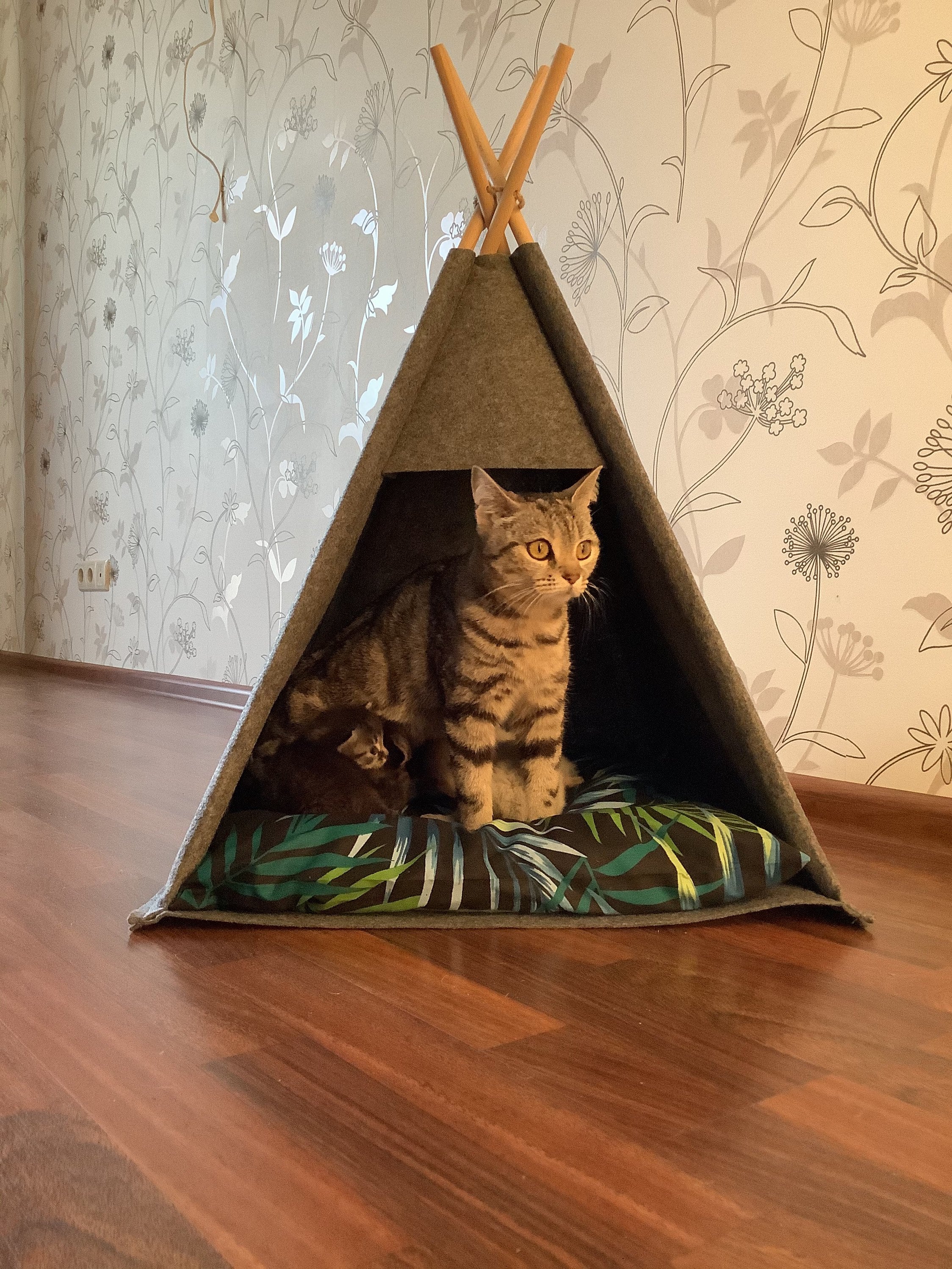 Cat bed, Cat furniture, teepee Cat cave, Katzenbett, Cat cave Tent, bed pillow set felt cat, bed house pillows sleeping pet mat bed Animals