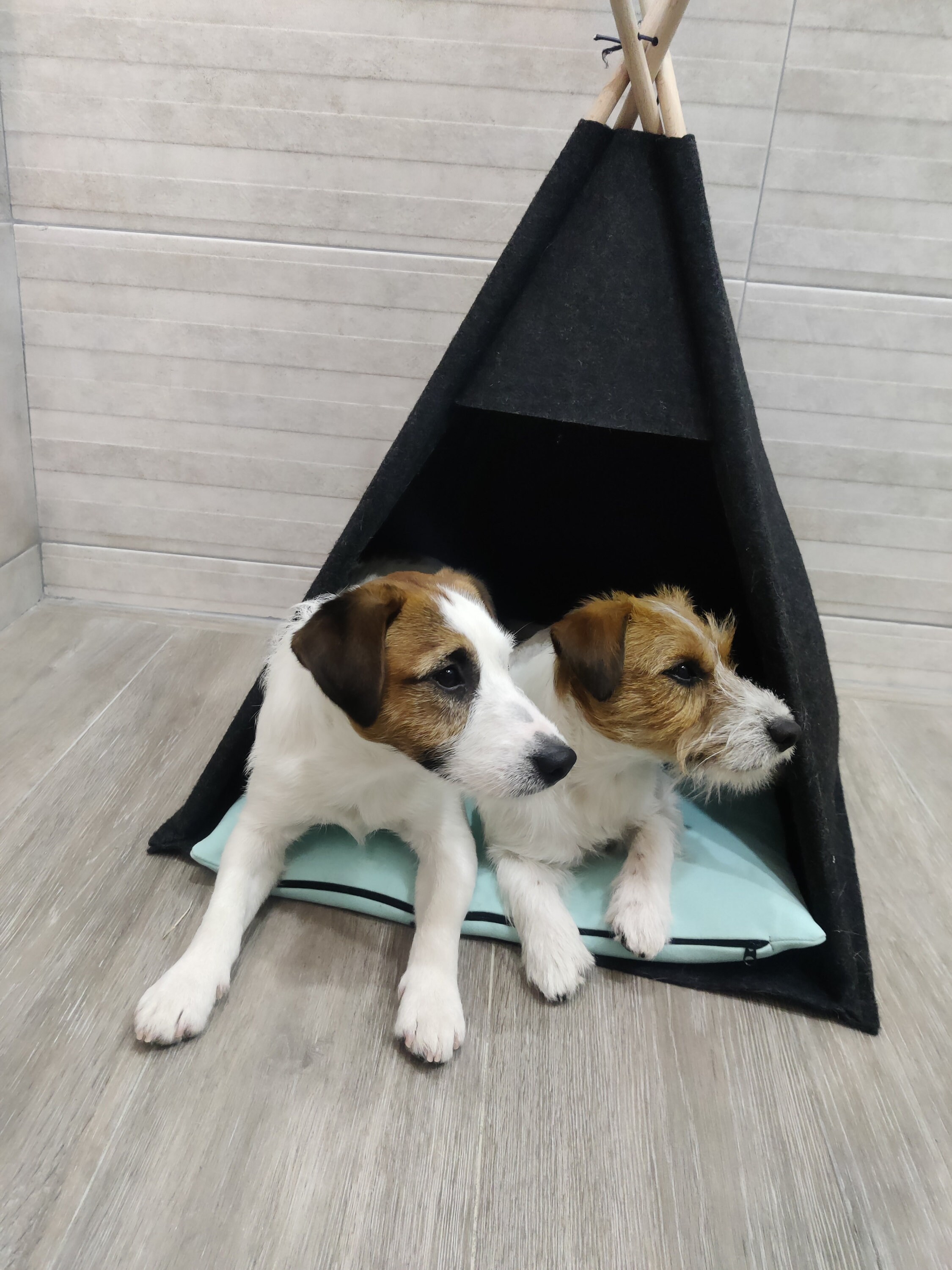 Grey dog teepee sales